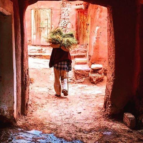 Kasbah Tiriguioute Hotell Skoura Exteriör bild