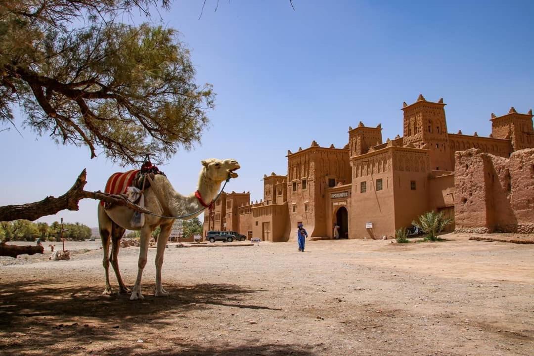 Kasbah Tiriguioute Hotell Skoura Exteriör bild