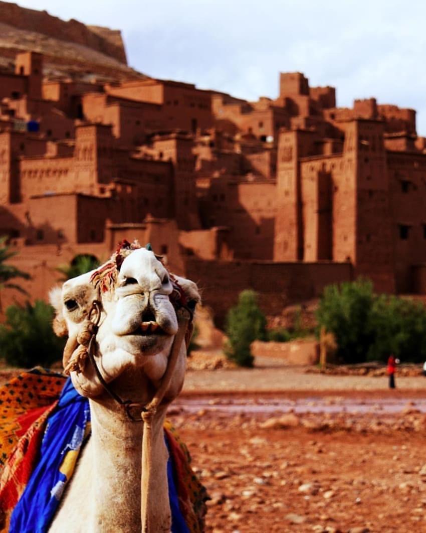 Kasbah Tiriguioute Hotell Skoura Exteriör bild